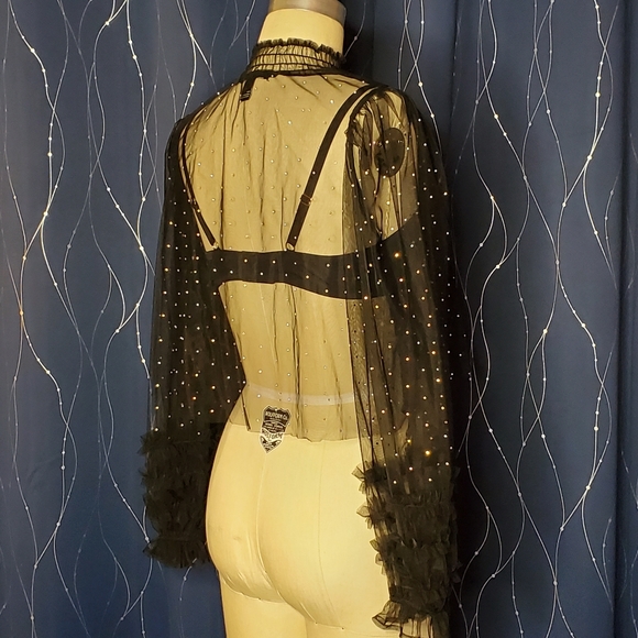 Crystal Studded Sheer Ruffled Blouse - Picture 5 of 6